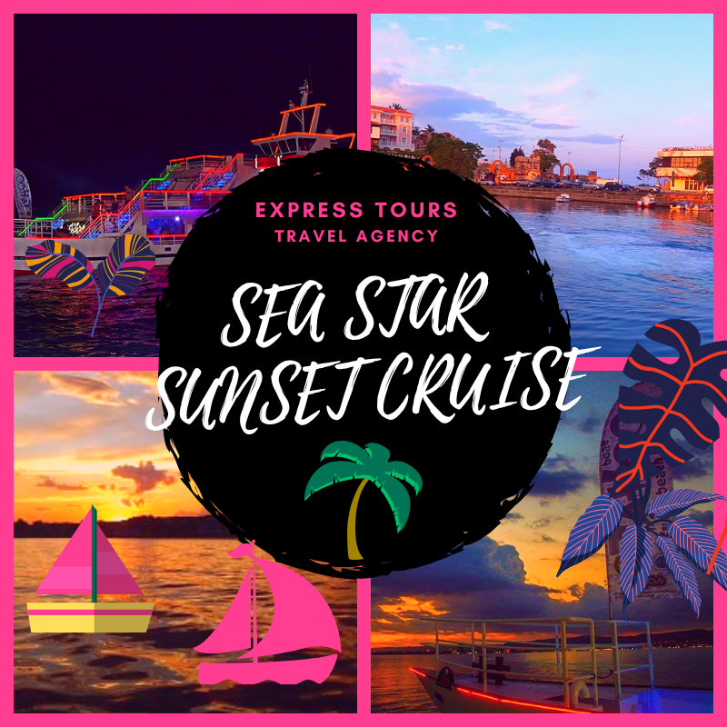 Sea star sunset cruise